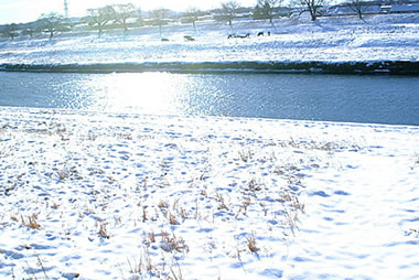 Snow02