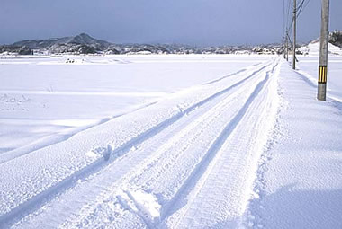 Snow04