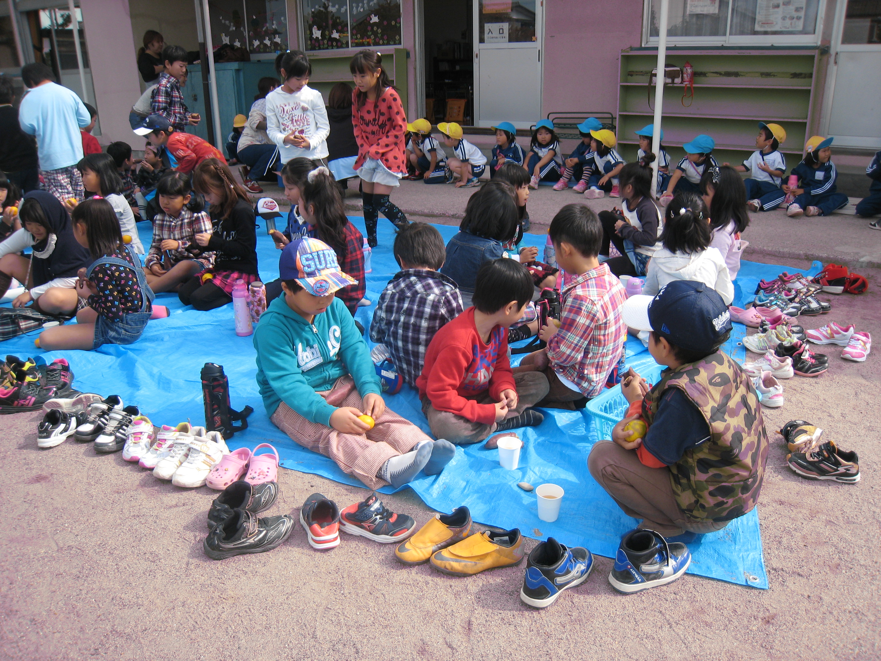 ����������