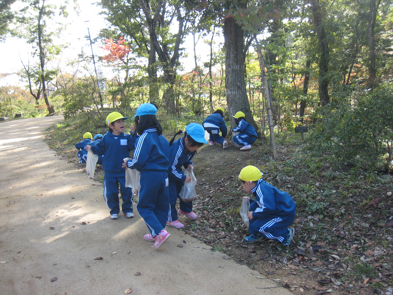 ����������