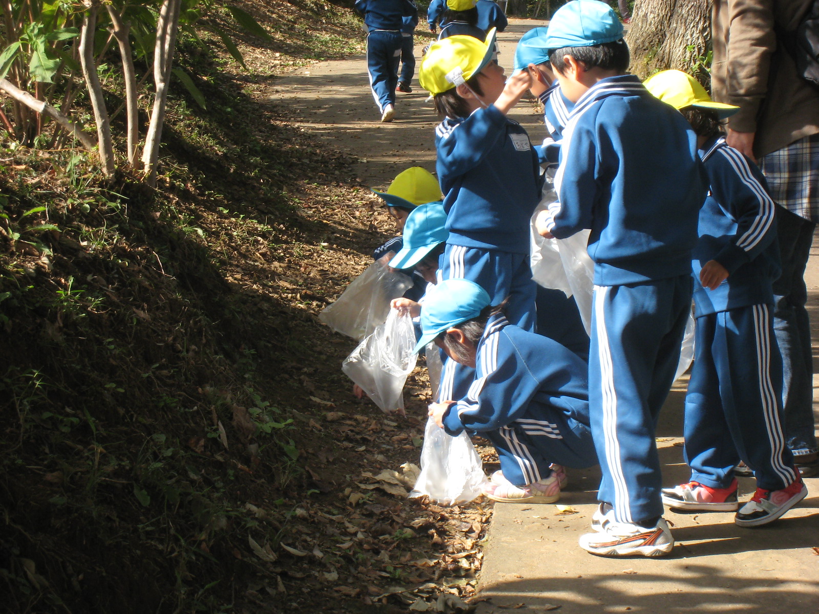 ����������