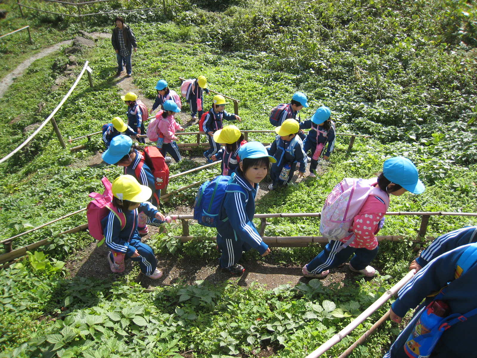 ����������