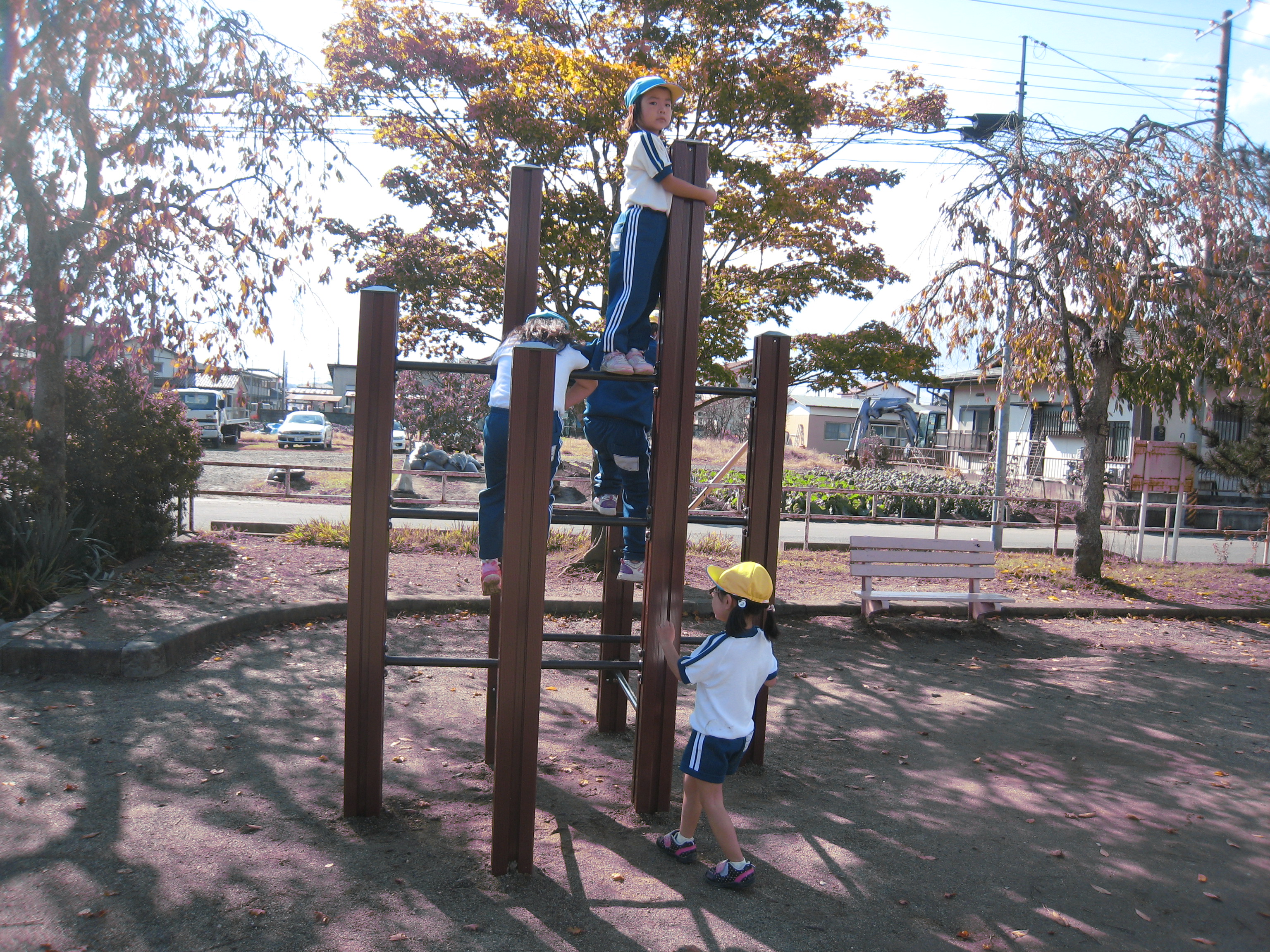 ����������