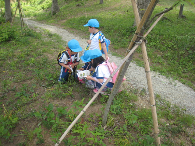 ����������