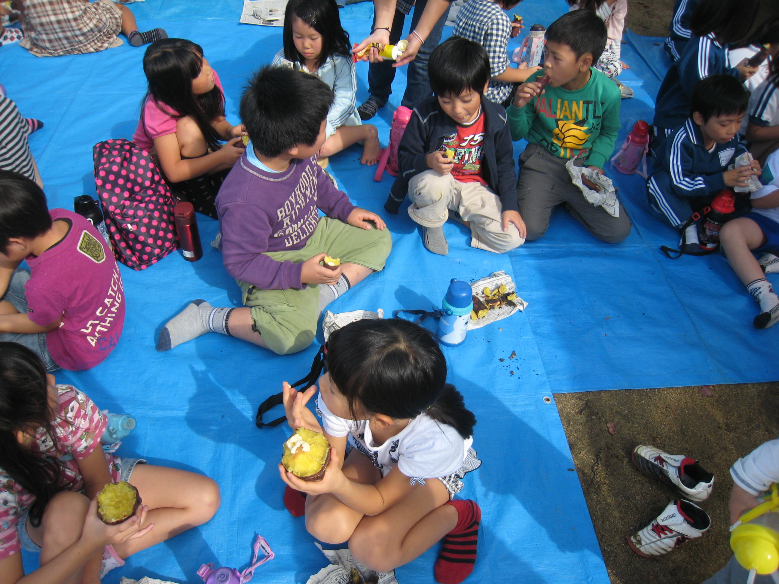 ����������