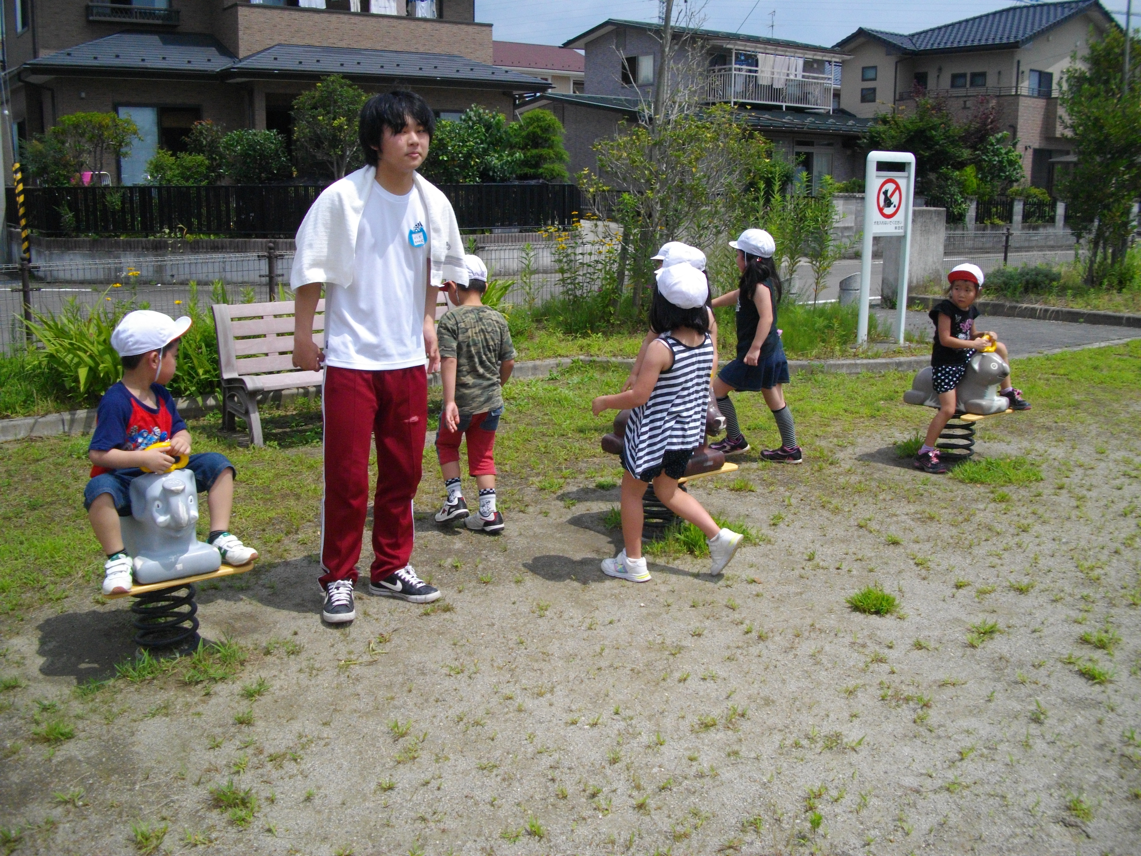 画像の説明 画像の説明