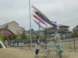 画像の説明 画像の説明