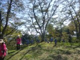 画像の説明 画像の説明