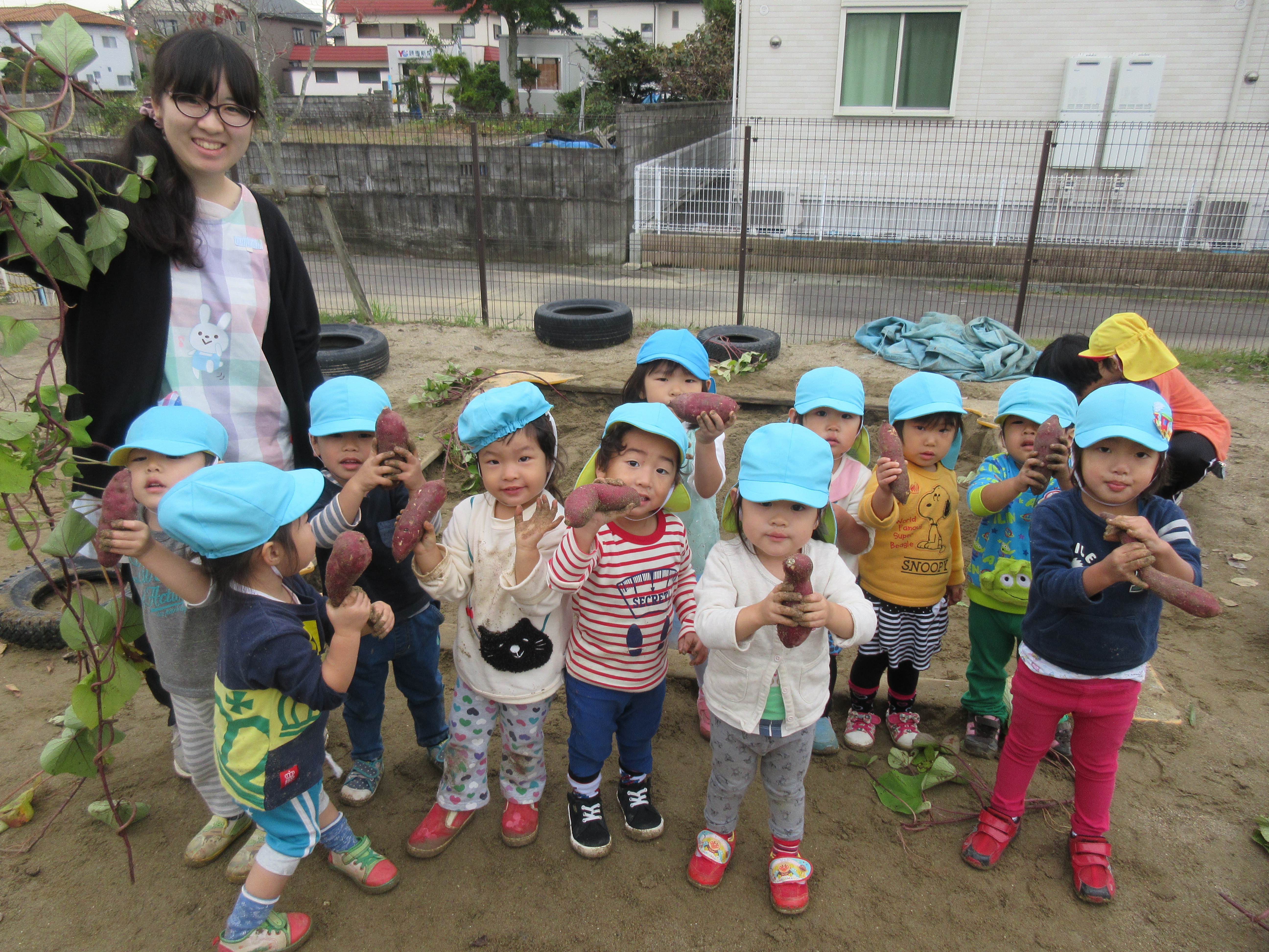 芋掘り楽しかったよ 芋掘り楽しかったよ