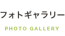 フォトギャラリー